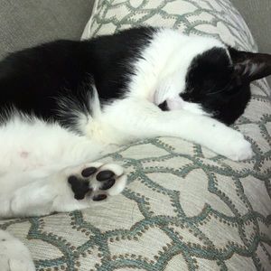 Meet your Posher, Angelina